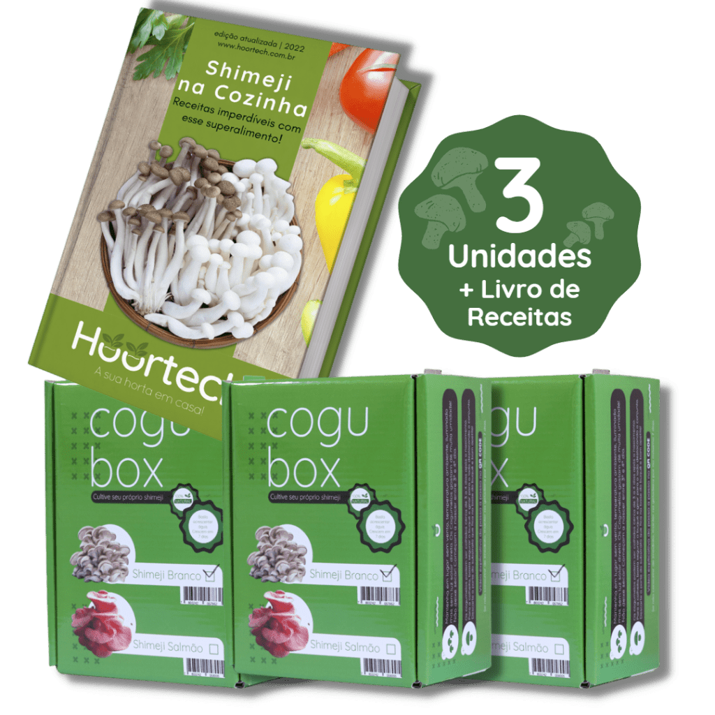 Cultive Shimeji Em 7 Dias PerfectPay Cogubox